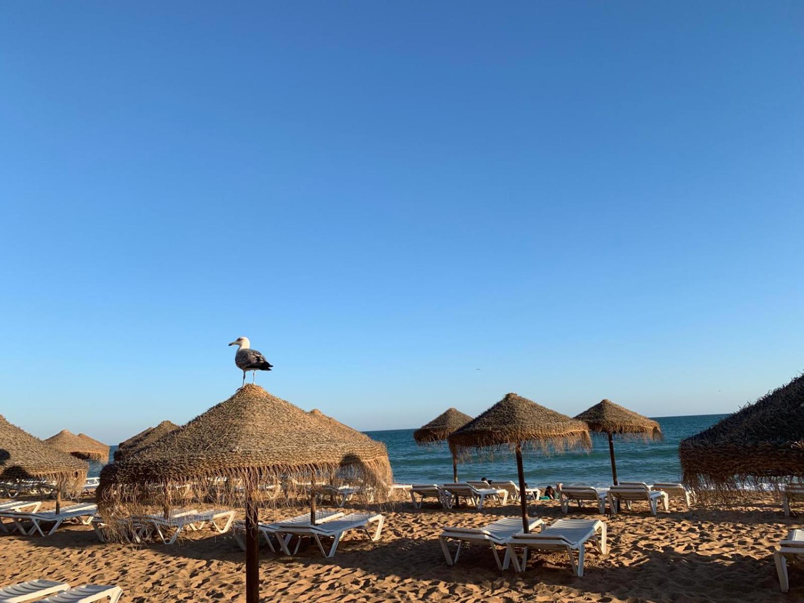 Apartament Olimar Sea View